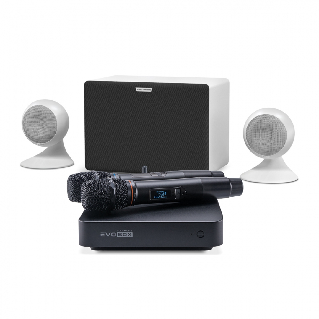 караоке-комплект EVOBOX Classic + EvoSound Sphere 2.1 в Нефтегорске